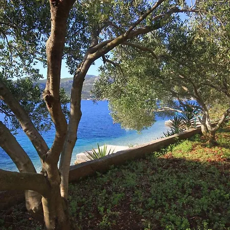 Tri Zala 174d アパート