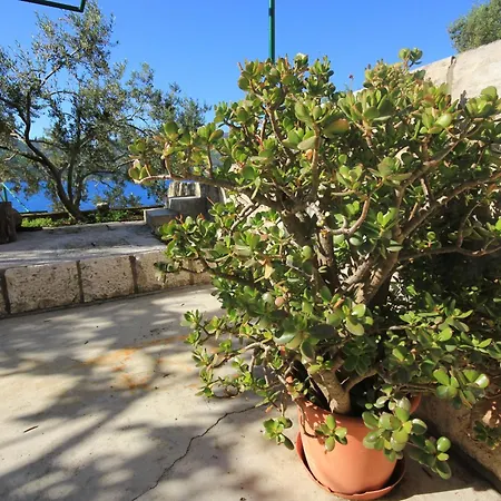 Appartement Tri Zala 174d