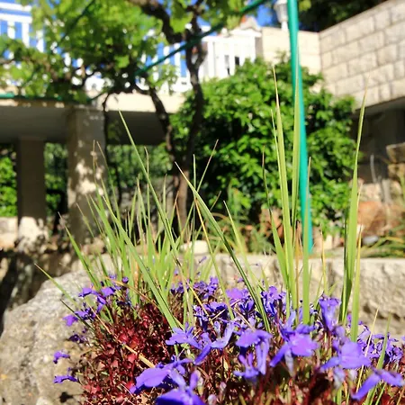 Tri Zala 174d Appartement Zrnovo