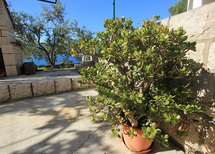 Apartmán Tri Zala 174d