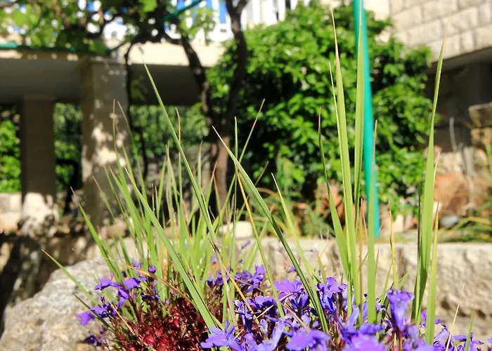 Tri Zala 174d Apartmán Zrnovo