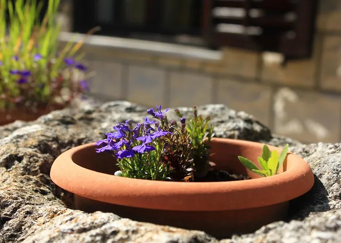 Apartmán Tri Zala 174d