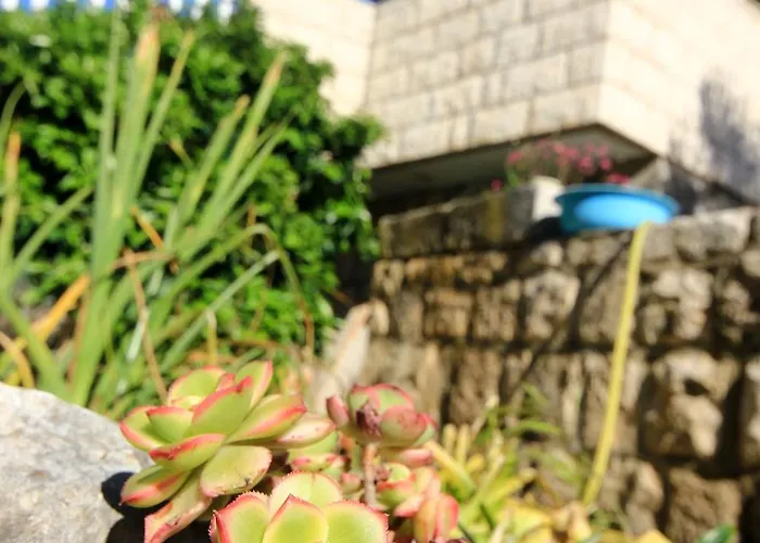 Apartmán Tri Zala 174d Zrnovo